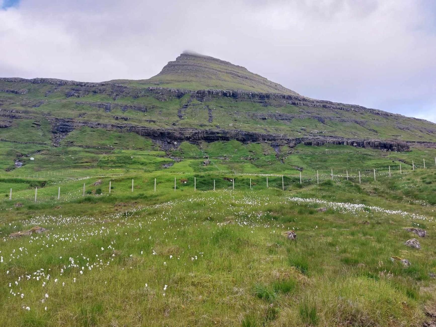 Fjord Guesthouse Funningsfjordur المظهر الخارجي الصورة